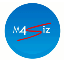 m4siz innovating technology solutions